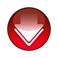 Video Downloader Pro