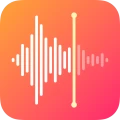 Spraakrecorder en spraakmemo's