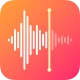 Spraakrecorder en spraakmemo's