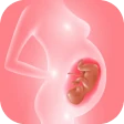 Volg je zwangerschap en baby icon
