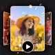 Video fotografici con musica