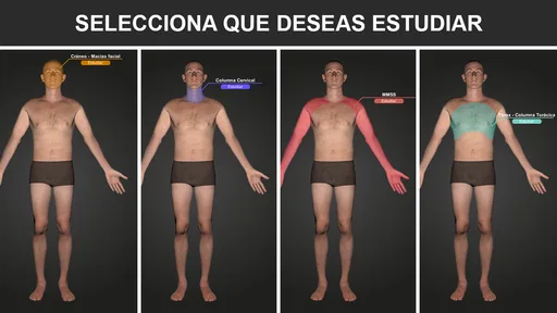 RX - Posiciones Radiológicas 1