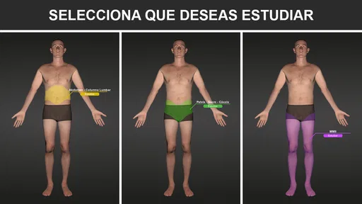 RX - Posiciones Radiológicas 2