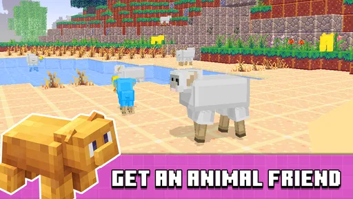 Build Block Craft 4