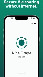 LocalSend: Transfer Files 1