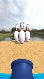 CannonBowling:Acción de Huelga 8