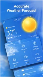 Pronóstico del tiempo en vivo 1