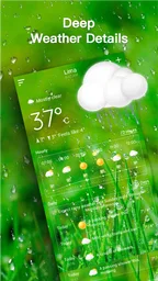 Pronóstico del tiempo en vivo 3