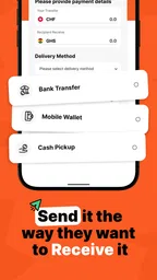 Remesa: Transferencia dinero 3