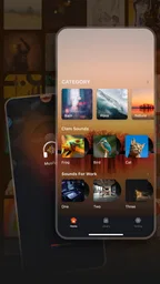 Musivibe - Enjoy Various Music 1