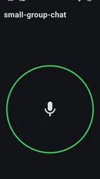 Two Way : Walkie Talkie 1