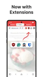 Vivaldi Browser - Fast & Safe 2