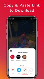 Video Downloader for Pinterest 1