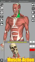 3D Anatomy 1