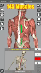 3D Anatomy 2