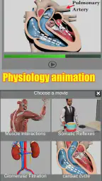 3D Anatomy 8