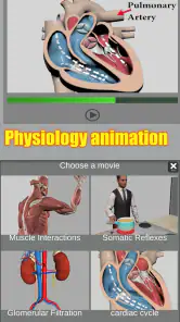 3D Anatomy screenshot