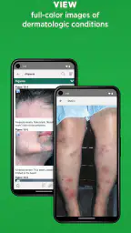 5-Minute Clinical Consult 4