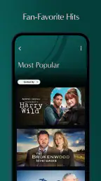 Acorn TV: Brilliant Mysteries 4