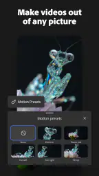 Adobe Firefly: AI Generator 3