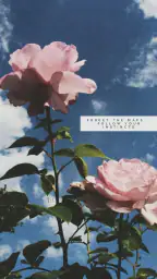 aesthetic background 4