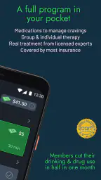 Affect: Addiction Recovery 2