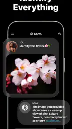 AI Chatbot - Nova 6