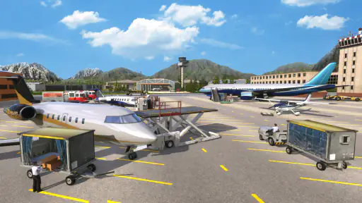 Airplane Pro: Flight Simulator 8