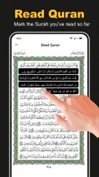 Al Quran Majeed القرآن الكريم 3