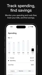 Albert: Budgeting and Banking 2