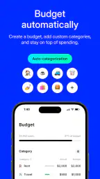 Albert: Budgeting and Banking 3