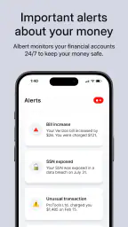 Albert: Budgeting and Banking 4