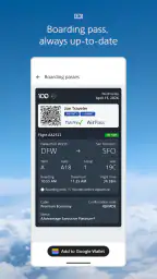 American Airlines 6