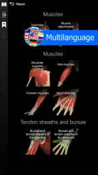 Anatomy Learning - 3D Anatomy 6