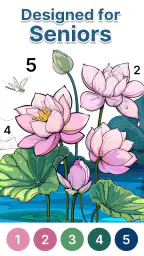 Anima Color - Paint by Number 1