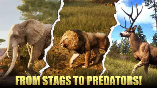 Animal Hunter : Wild Sniper 5