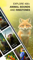 Animal Sounds and Ringtones 2