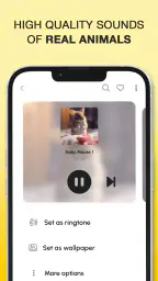 Animal Sounds and Ringtones 4