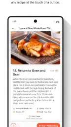 Anova Oven 2
