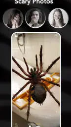 AR Spiders & Co: Scare friends 2
