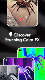 AR Spiders & Co: Scare friends 4