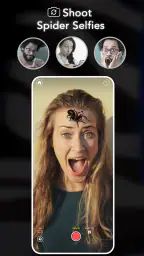 AR Spiders & Co: Scare friends 6