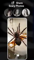 AR Spiders & Co: Scare friends 7
