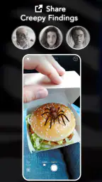 AR Spiders & Co: Scare friends 8