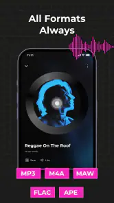 Audio Insight - Offline Music screenshot