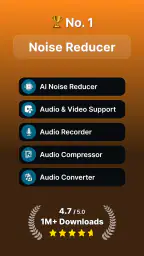 Audio Video Noise Reducer 1