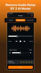 Audio Video Noise Reducer 4