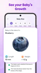 Baby Love : Pregnance Tracker 3