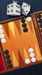 Backgammon: Dice Board Game 6