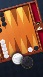 Backgammon: Dice Board Game 7